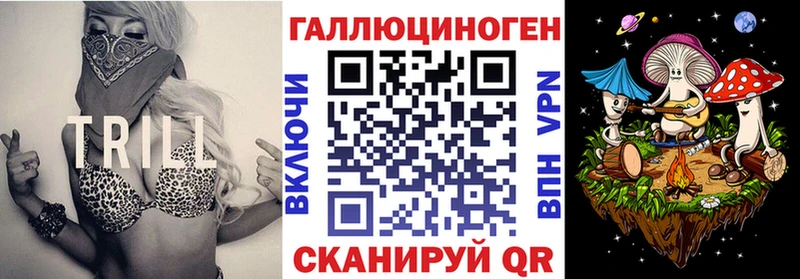 Галлюциногенные грибы GOLDEN TEACHER  как найти наркотики  omg как войти  Вытегра 